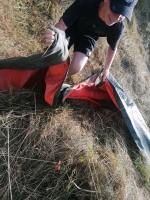 Vogelwiese Eisbaeren 2023